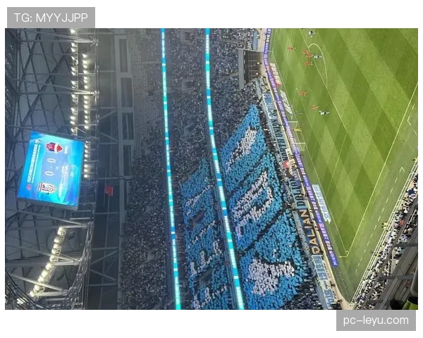 中超球市井喷：专业足球场数量首超六成，观赛体验全面升级